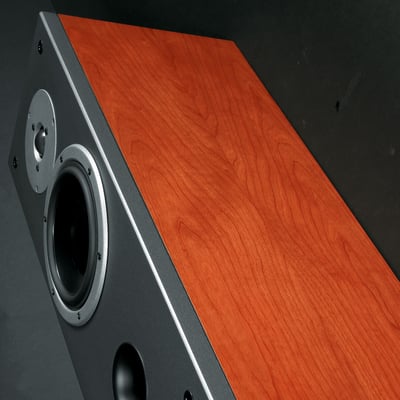 dynaudio_audience_62-252_RT8